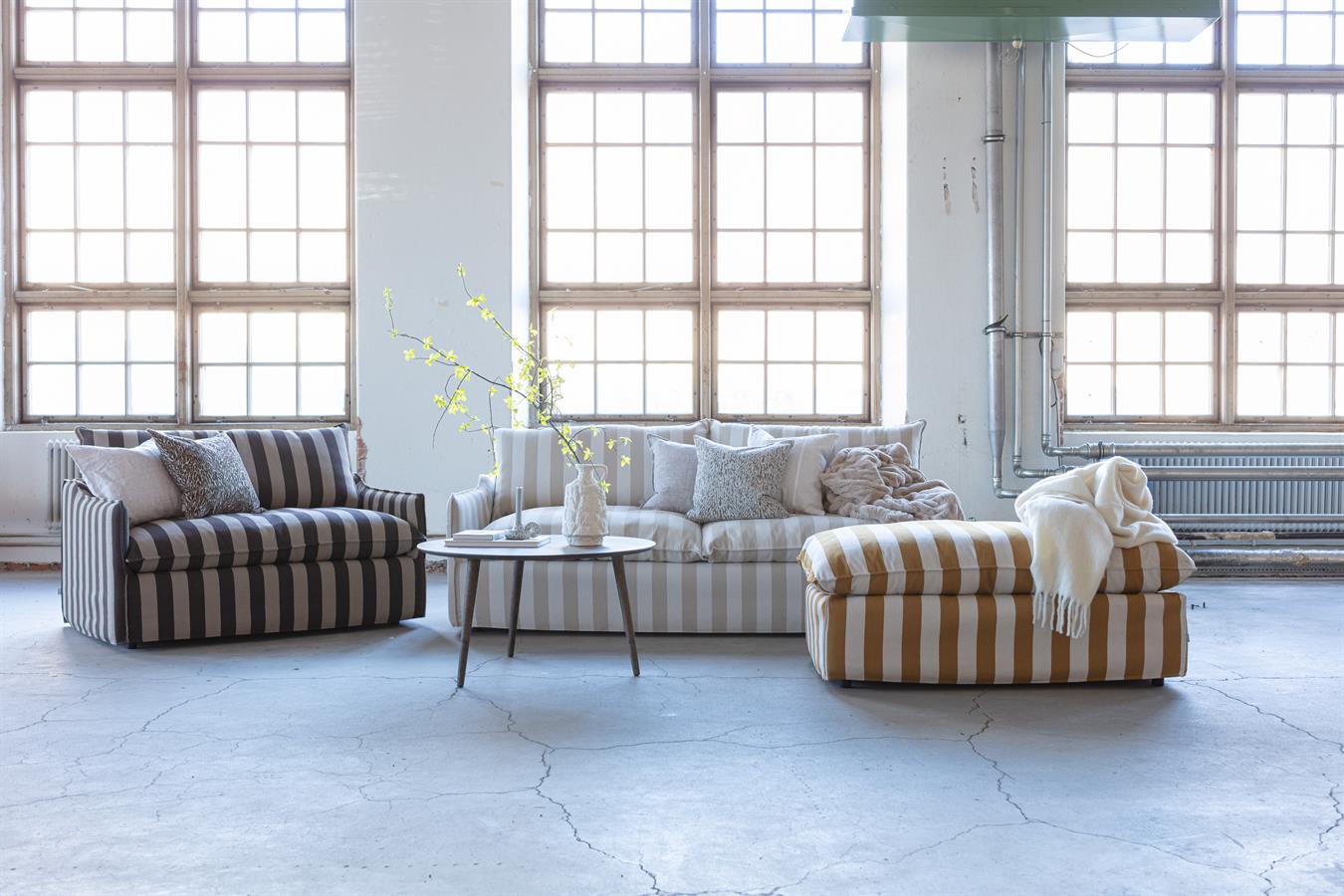 mogihome_03042025_d4a5580.jpg 