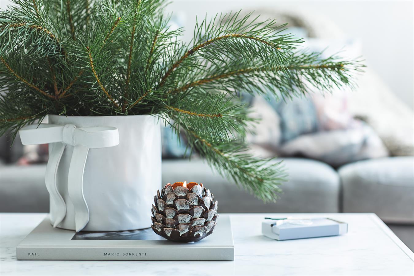 mogihome_12082025_d4a7409.jpg 